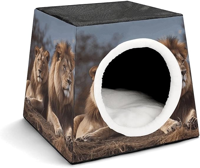 Cat Cave Cat Beds for Indoor Cats Two Lions Foldable Cat Hideaway with Washable Cushion and Non-Slip Base