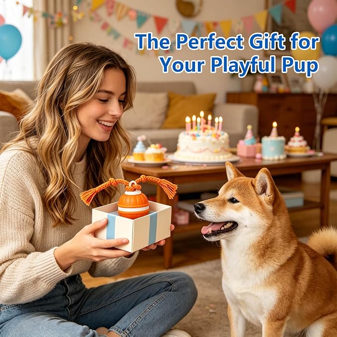 Interactive Dog Ball, 360° Self-Moving Dog Toy with LED Lights & Squeaker, Automatic Fetch Toy for Boredom & Training, USB-C Rechargeable Smart Pet Toy for Small Medium Dogs & Cats