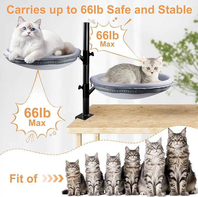Double Layer Large Cat Desk Bed, 360° Rotating & Adjustable Shelf, 15" Thickening Desk Mounted Cat Bed with 2 Perches Holds Up to 66lbs for Office/Home