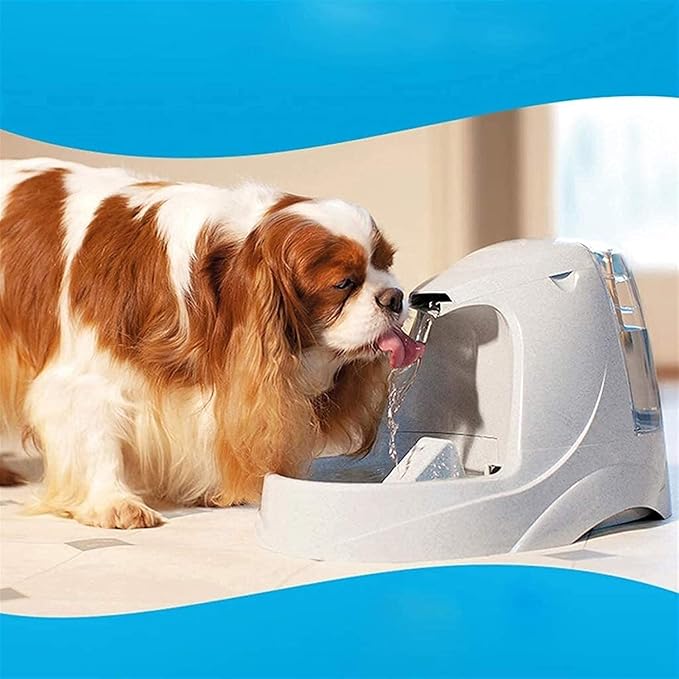 Liusj JUnst Cat Water Dispenser Automatic Circulation Fountain Dog Water Dispenser pet Water Supplies,Lightweight Portable Pet Water Bottle Dispenser