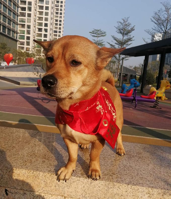 Cat Clothes,New Year's Cloak Dog Clothes Red Pet Cheongsam Cloak Clothes for Cats Small Dogs Puppy(Red,L)