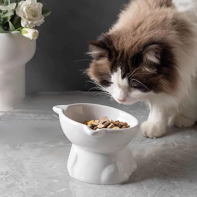 Elevated Cat Food Bowl, Raised and Tilted Water Bowl, Anti Vomiting and Protect Pets' Spines Dishes for Small Dog, Fat Faced Cat, Kitten (White)