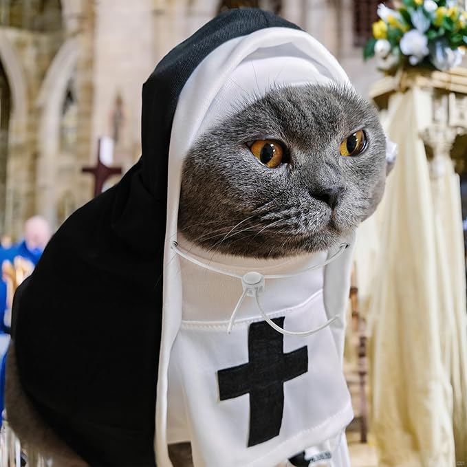 PET SHOW Nun Dog Costume for Small Dogs Puppy Halloween Cosplay Outfit Black White Cats Cloak Dress Up Adjustable Pets Apparel Holiday Party Clothes Boys Girls(S/M)