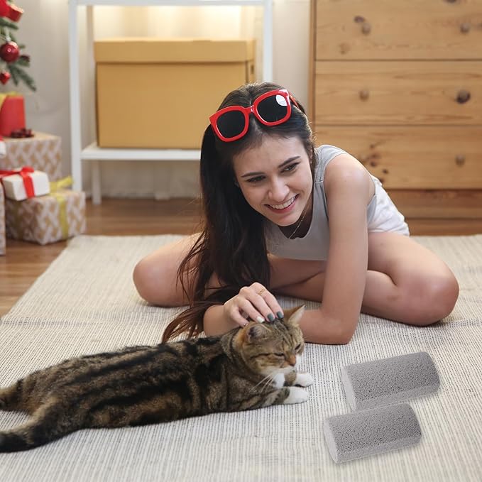 2 Pcs Pet Hair Remover Pumice Dog Cat Hair Stone Quickly Removal Cleaning Pet Fur Stone Reusable Upholstery Cleaner Rock Tool for Car Interior Couch Bedding Carpet Couch Furniture