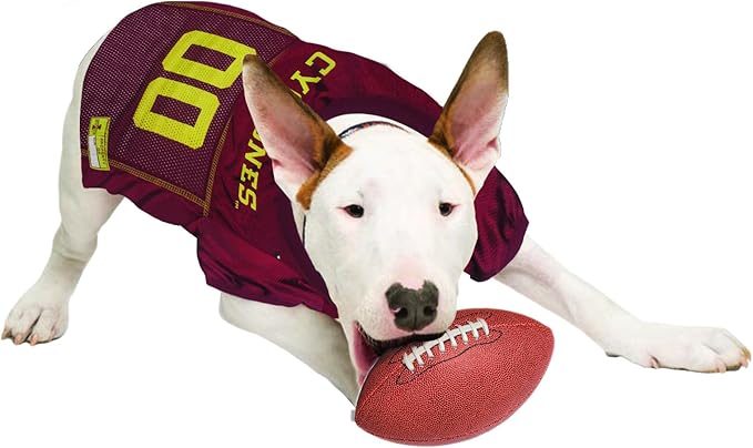 Pets First NCAA College Iowa State Cyclones Mesh Jersey for DOGS & CATS, Medium. Licensed Dog Jersey with your Favorite Football/Basketball College Team