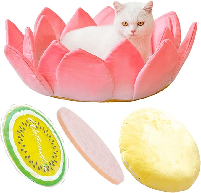 Scratching Board Toy Round Scratching Pad Anti-Scratch Post Corrugated Paper Lounge Bed Scratch Board for Boredom Interactive Toy Nest Bed Pet Supplies for Cats Furniture (Nest with Accessories)