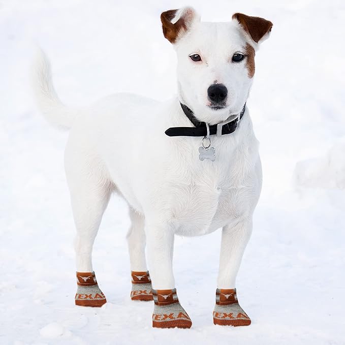 NCAA Texas Longhorns Anti Slip Dog Socks with Elastic Ribbed Top, Size X-Small/Small. Indoor/Outdoor Socks, Best Dog Paw Protector, 2 Pairs of Pet Socks with Your Favorite Collegiate Sports Team