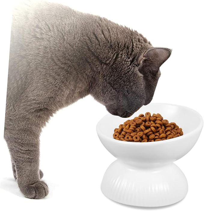 Abaodam Ceramic Cat Feeder Bowl Tip Design Slanted Mouth for Easy Eating Safe Material Cat Food Container for Comfortable Feeding