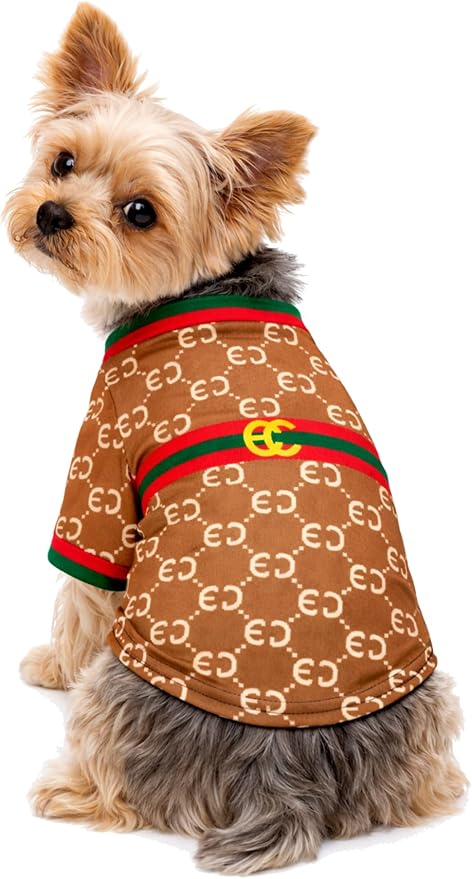 Luxury Designer Dog T Shirt – Trendy Puppy Clothes for Small Dogs, Fashion Pet Tee for French Bulldogs & Chihuahuas, Everything Chic Dog Apparel (GucchewiTee, Large)