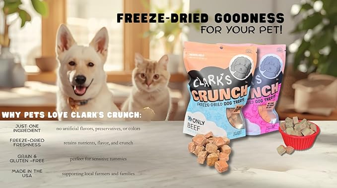 | Freeze Dried Cat Treats | Salmon Bites, Single Protein | Premium Quality | Grain Free Training Treats for Cats, 2 oz Pouch