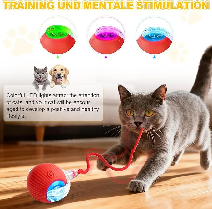 2-Pack USB Rechargeable Smart Cat Toy Ball, 360° Rotation Automatic Moving Chase Toy, Obstacle Avoidance Interactive Play with 4 Spiral Springs, Enrichment Toys for Indoor Cats, Puppies & Small Dogs