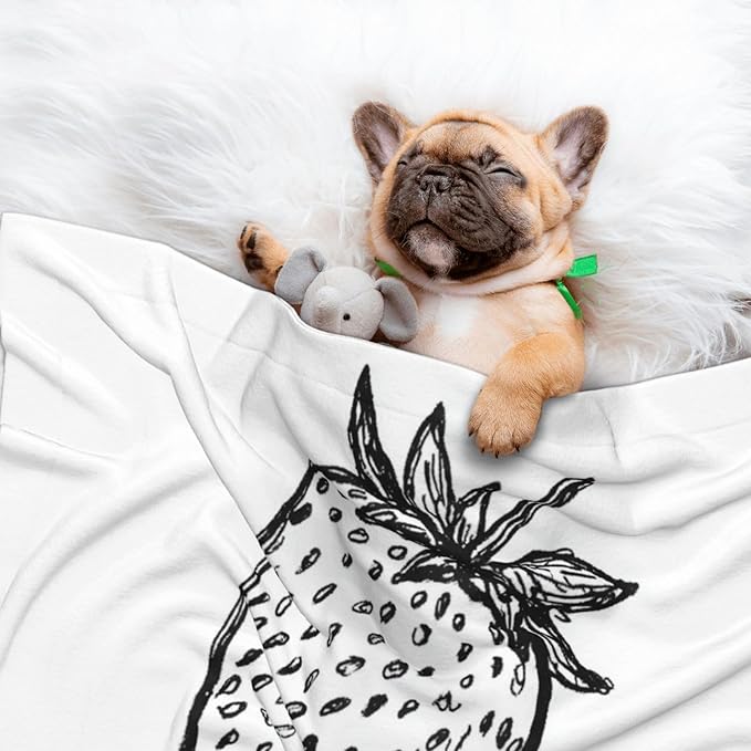 Cat Dog Blanket Hand-Drawn Strawberry Black Lines Abstract Ultra Soft Warming Mat for Indoor Pet Beds Furniture 27.6 X 19.7inch