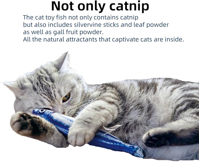 miwoowim 6 PCS Cat Fish Toy Soft and Durable,Cat nip Toy with Catnip Inside, Kicker Toys for Indoor Kitten Exercise,Kitty Teething Chew Toy (6 Sauries)