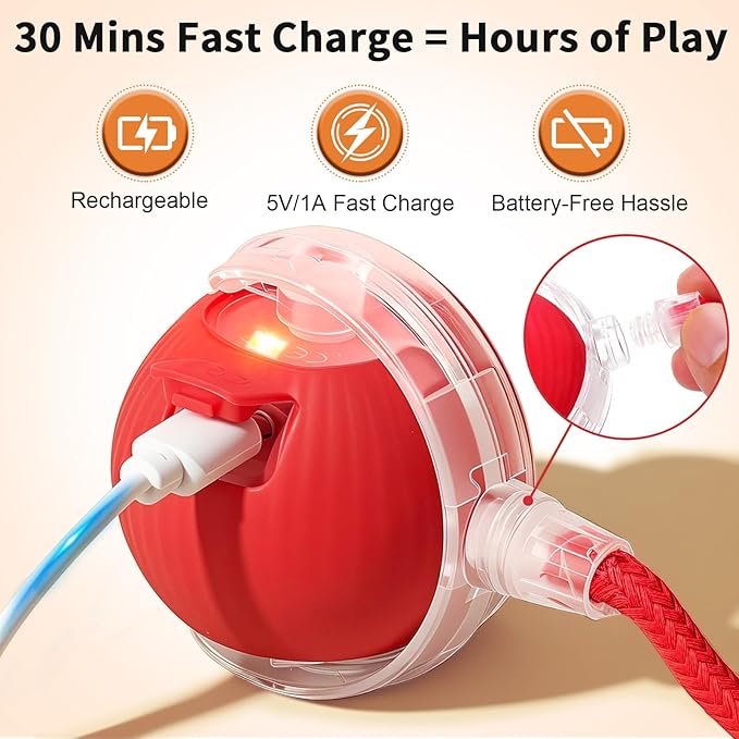 Interactive Cat Toy Ball - 3 LED Modes Motion Activated, Elastic Mesh Tail Type-C Rechargeable Self-Playing Toy for Bored Indoor Cats Kittens, Ideal Gift for Cat Lovers (Red)