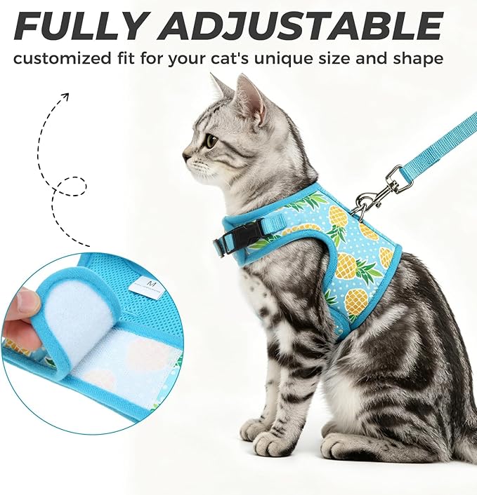 BINGPET Cat Harness and Leash Set Escape Proof, Fashionable Adjustable Mesh Harness for Walking, Soft Cute Breathable Easy Control Cat Vest for Kitten Puppy Small Medium Large Cats