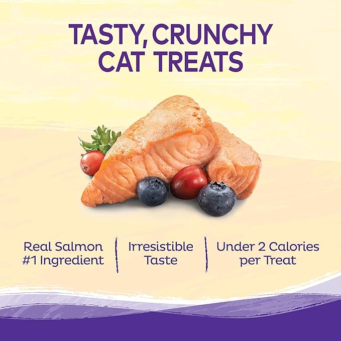 Wellness 4 Pack of Salmon & Cranberries Kittles, 2 Ounces Each, Crunchy Natural Grain-Free Cat Treats