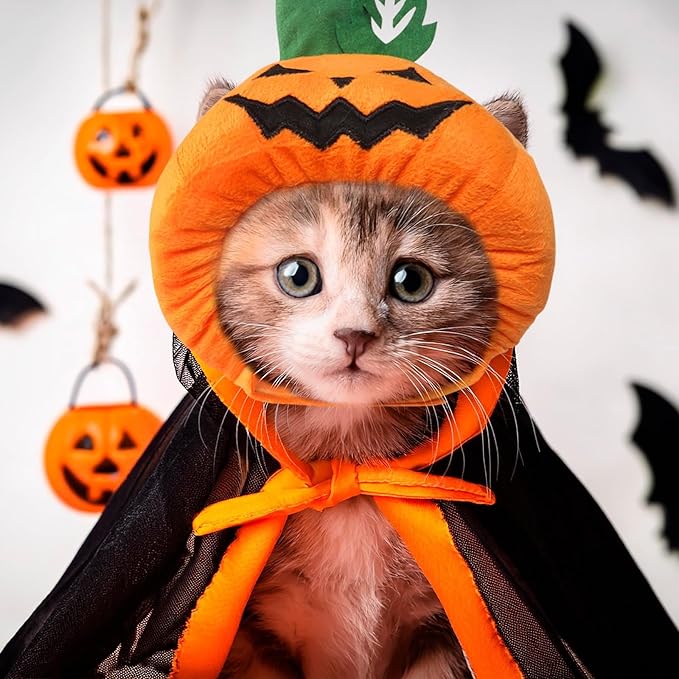 Cat Halloween Costumes Halloween Pumpkin Hat for Dogs Cats Adjustable Cute Orange Pumpkin Cap Festival Pet Head Dress Up Accessories for Halloween Puppy Kitten Cosplay Costume Gifts
