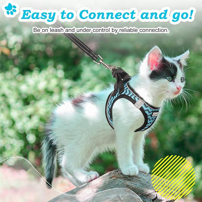 Cat Harness and Leash Escape Proof,Adjustable Soft Mesh Kitten Vest Harness for Walking Reflective Pet Harness for Cat Small Dogs Puppy (Blue, XXS)
