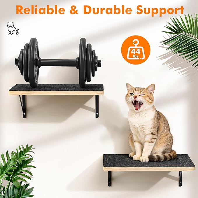 Cat Wall Shelves, 17 x 10 Inch Cat Walls Furniture, Wood Floating Shelf with Upgraded Installation, Kitten Wall Tree for Sleeping, Playing Climbing and Scratching