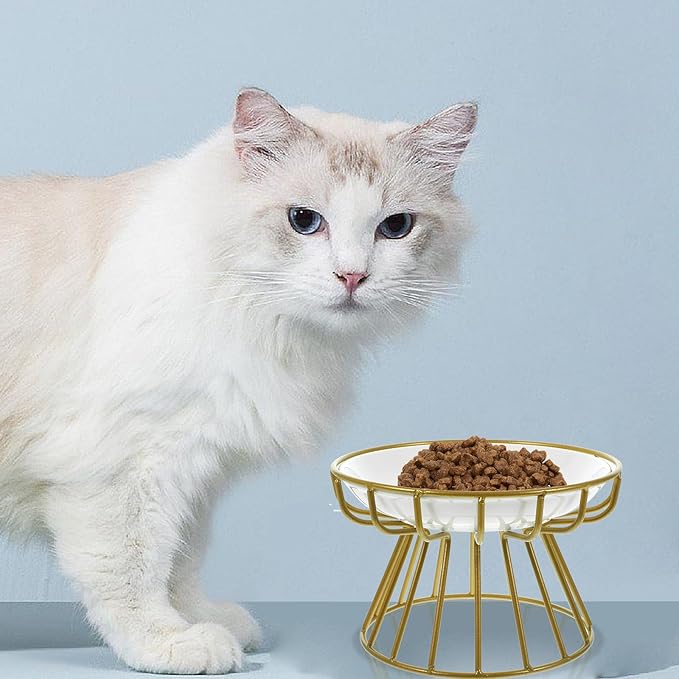 Garneck Elevated Cat Food Bowl with Ceramic Whisker-Friendly Dish and Gold Metal Stand, Anti-Vomiting Raised Pet Feeder for Cats, Compact Feeding and Watering Bowl for Indoor Use
