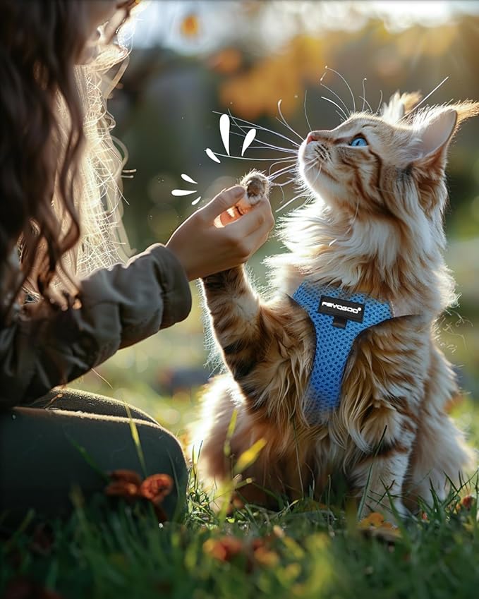 FAYOGOO Cat Harness and Leash Set | Upgrade Step-in Escape Proof Harness | Lightweight Soft Vest, No-Choke Design for Walking, Travel, Camping (Tranquil Teal)