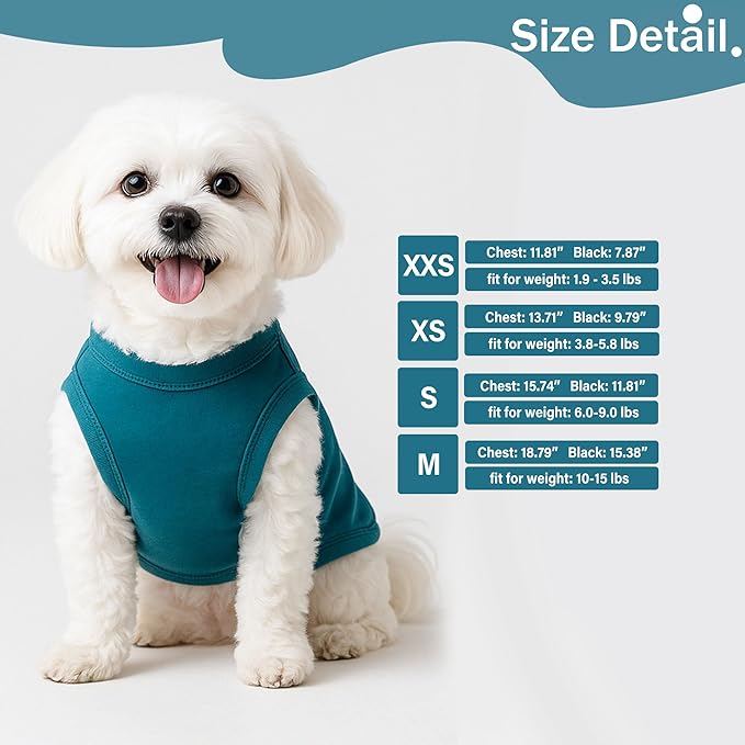 2 Pieces Dog Clothes for Small Dogs Girl Boy Chihuahua Clothes Summer Puppy Soft Dog Shirt Solid Color Pet Clothing Cute Cat Cloth, XXS,Green,Blue