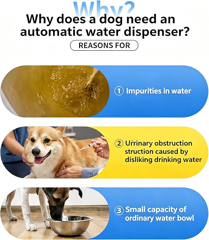 Auto Circulating Cats Dogs Water Dispenser Food Grade Antislip Base Fountain for Easy Watering Everyday Use Pet Bowl