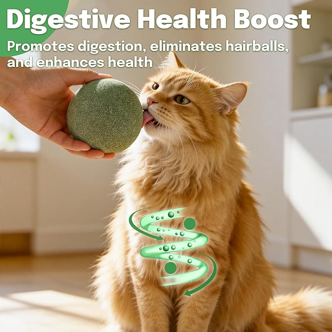 3.94 Inches Giant Catnip Ball, Lickable Cat Nip Ball, Interactive Cat Balls for Bored Adult Cats Indoor, Jumbo Kitty Teeth Cleaning Chew Dental Toy