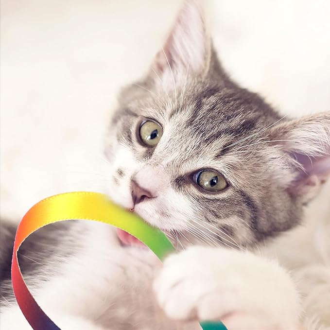 Cobee 6 Pack Cat Wand Toy Set, 30cm Cat Interactive Wand with Rainbow Ribbon String + Leopard Print Cloth String for Kitten Training & Exerciser