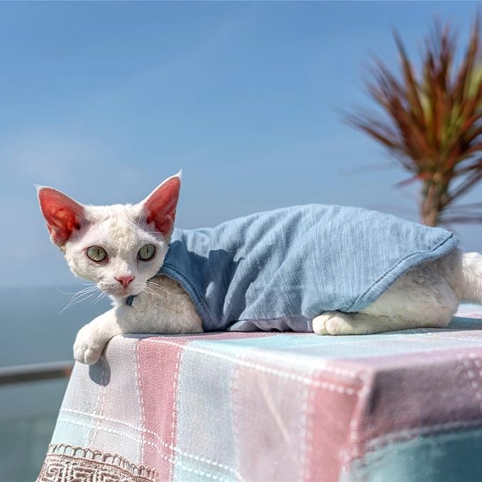 Hairless Cats Solid Cotton Camisole, Breathable Summer Tank Tops for Sphynx, Cornish Rex, Devon Rex, Peterbald, Cat Wear Hairless Cat Clothes Soft Skin-Friendly Cats Apparel Assorted Colors and Sizes