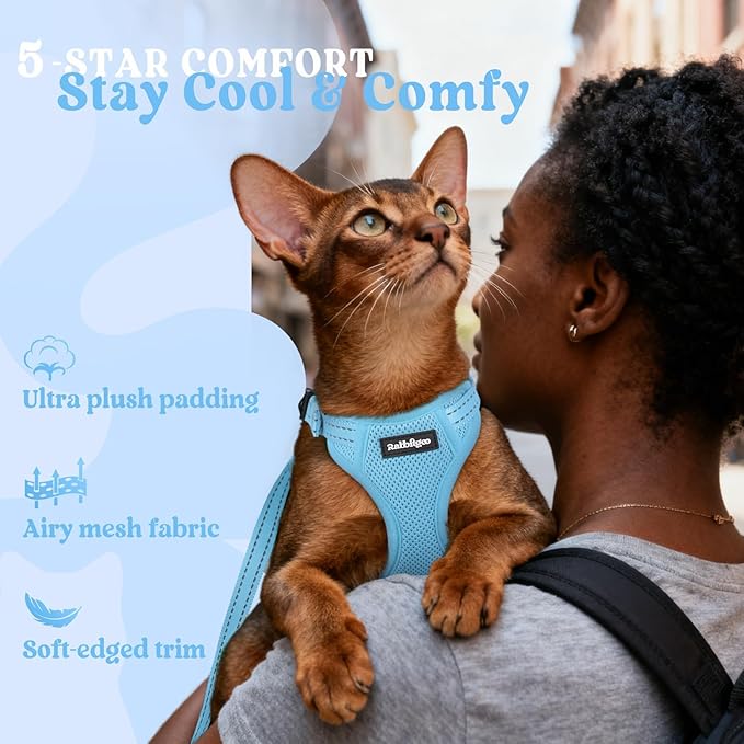 rabbitgoo Cat Harness and Leash, Escape Proof Vest with 3 Adjustable Buckles, Soft Comfortable Kitten Harness, Easy to Wear, Reflective for Safe Outdoor Walking, Small, Sky Blue