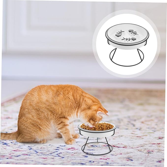 Abaodam Raised Cat Bowl Food Feeding Station Slow Eating Ceramic Cat Dish with Elevated Stand Pet Feeder for Small and Kittens
