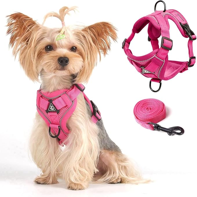 Vest Harness Leash Set for Small Dog Large Cat, Upgraded Escape Proof Adjustable Jacket with Lead for Puppy Fat Cat Outdoor Walking, Soft Breathable Mesh Coat with Reflective Strip for Dark XL Pink