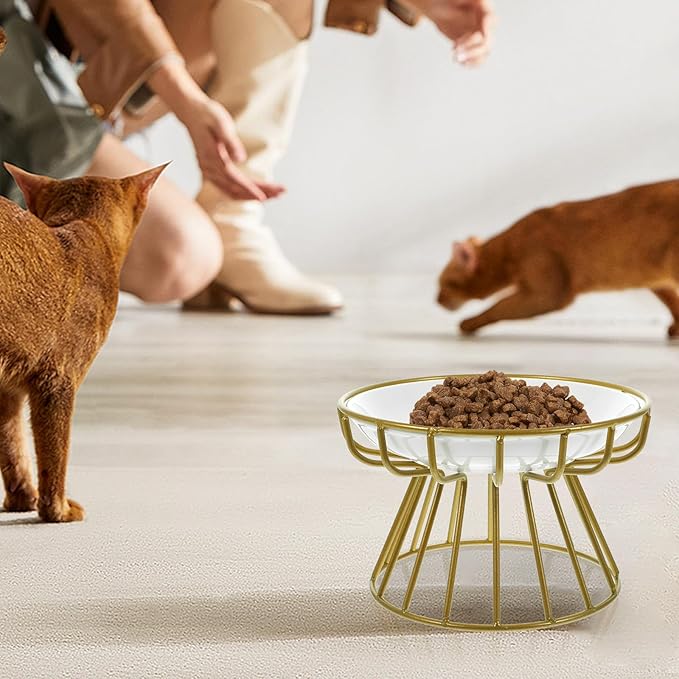 Garneck Elevated Cat Food Bowl with Ceramic Whisker-Friendly Dish and Gold Metal Stand, Anti-Vomiting Raised Pet Feeder for Cats, Compact Feeding and Watering Bowl for Indoor Use