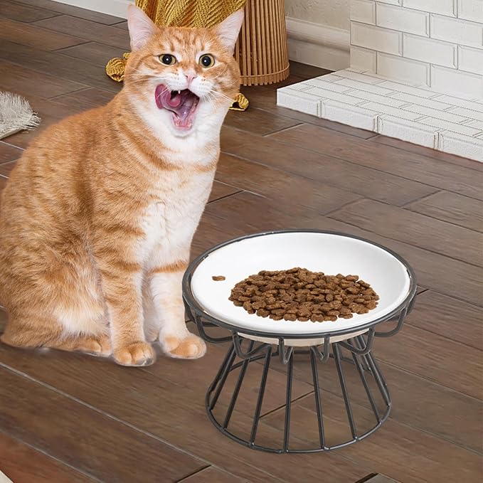 Raised Cat Food Bowl Porcelain Bowl Metal Stand Minimalist Multipurpose Easily Food and Water Bowl Detachable for Dry Wet Food, Style G