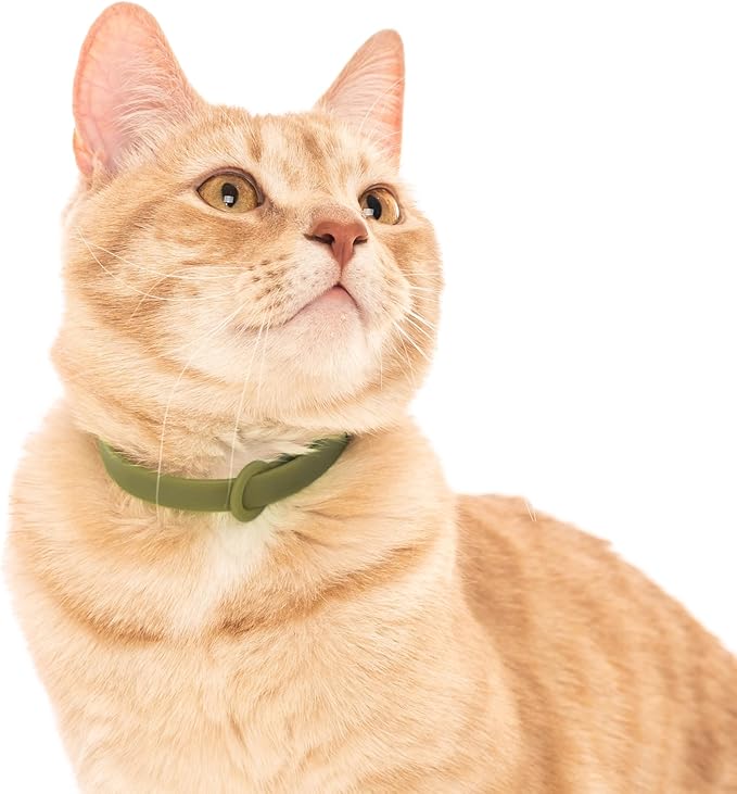Silicone Cat Collars 2 Pack - Soft, Comfortable, and Lightweight Safety Breakaway Collar with Name Tag Ring for Outdoor Cats and Sensitive Skin Kittens by Nuvuq (6 ⅞" to 10 ¼", Green)