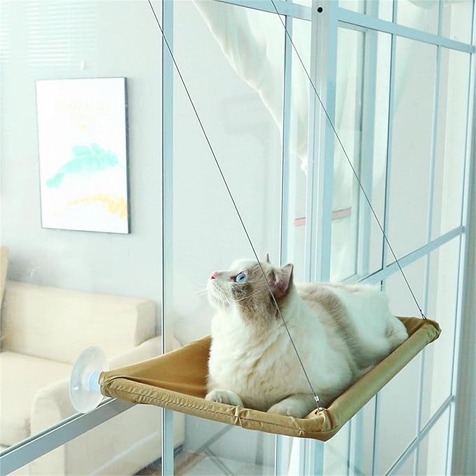 Cat Purrfect Perch, 2023 New Cat Bed Window, Cat Window Hammock Window Perch, Safety Cat Shelves Space Saving Window Mounted Cat Seat for Window Perch for Large Indoor Cats (E-Black)
