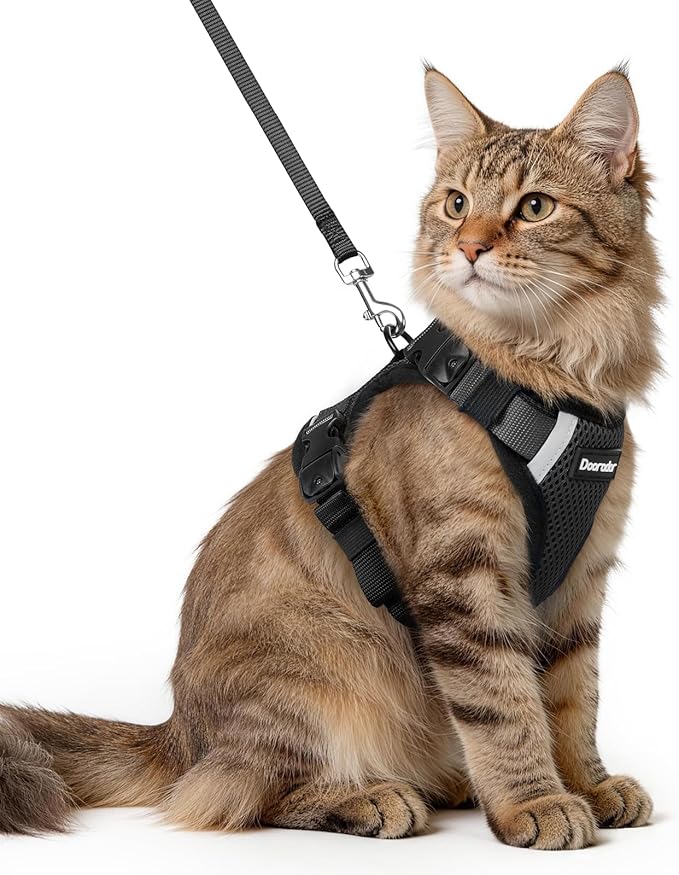 Dooradar Cat Harness and Leash Set, Escape Proof Soft with 3 Adjustable Buckles, Comfortable Vest Easy to Wear Kitten Harness with Reflective Strip, Safe for Outdoor Walking, Black, M