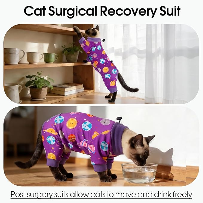 DENTRUN Cat Clothes for Hair Control with Hair Sticky Fabric - Soft Recovery Suit & Breathable Lint-Resistant Cat Sweater for Cats Only, Kitten Onesie Pajamas, S, Purple