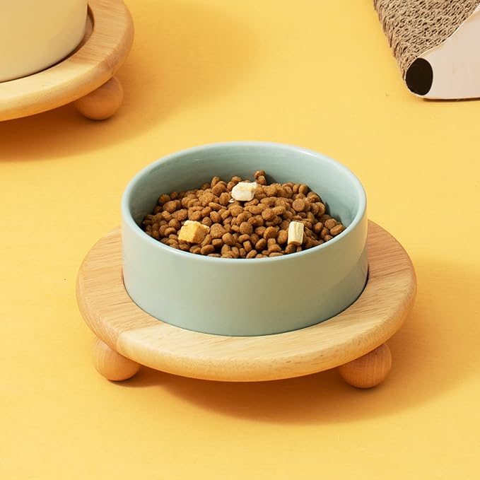 Havniva Raised Cat Bowls Water Bowl 5.1” Elevated Ceramic Cat Food and Water Bowl Whisker Friendly Pet Food Bowls for Indoor Cats, Wide Cat Water Dish Prevent Whisker Fatigue Non Slip Cat Feeder