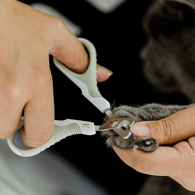Mr. Pen- Cat Nail Clipper, Stainless Steel, Professional Sharp Cat Claw Trimmer for Small and Medium Cats, Pet Nail Clipper with Sturdy Non Slip Handle