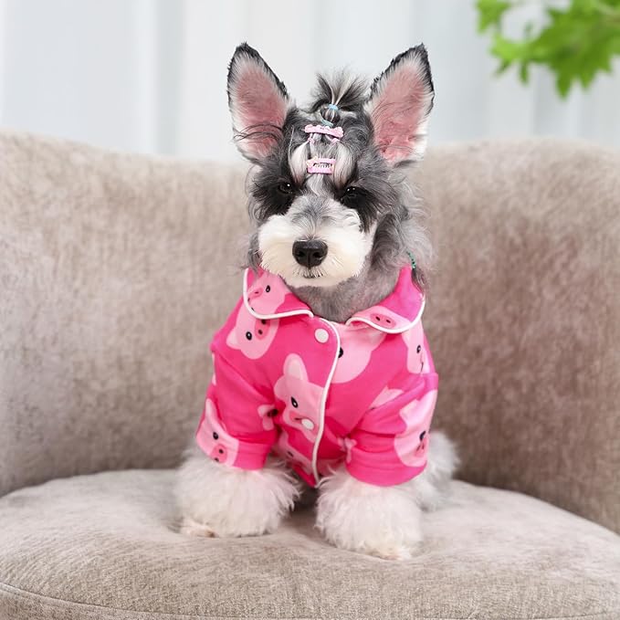 CuteBone Two-Leg Velvet Pet Pajamas Girl Dog Clothes - Soft, Cozy, and Stretchy Boy Pjs for Small, Medium Dogs and Cats Winter Sleepwear Apparel LTP02L