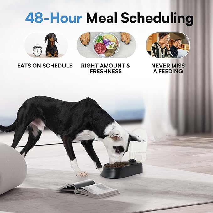 PAWISE Automatic Cat Feeder, 48-Hour Timer, with Ice Pack, 1.5 Cup