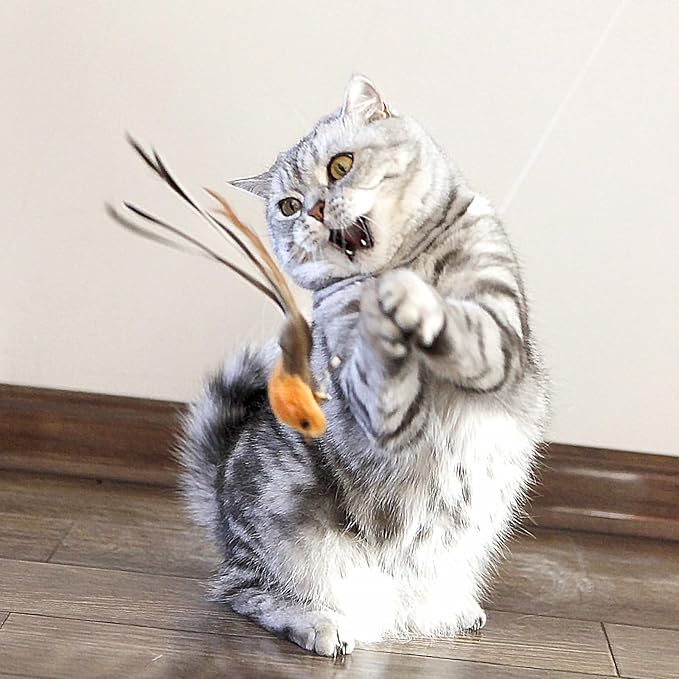 miwoowim Interactive Cat Wand Toy Set – 2 Retractable Wands (37" & 49") with 11 Refills Attachments – Feather Toys, Plush Bird, Worms, Insect & Swallow – Cat Teaser Toys for Indoor Cats & Kittens