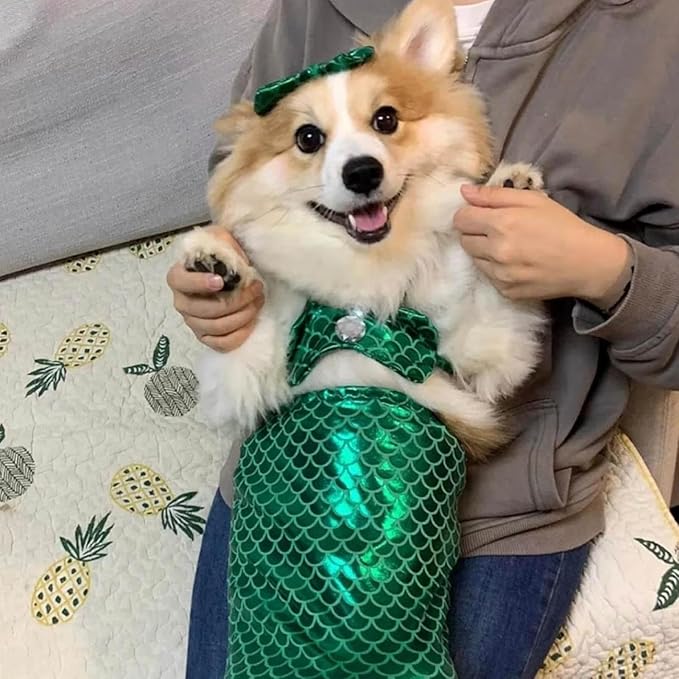 Generic cat Mermaid Costume, Mermaid Tail for Cats, Mermaid Tail Clothes Sequin Mermaid Dress, Comfortable & Soft Dog Outfit, Funny Pet Costumes for Cat and Dog, Green