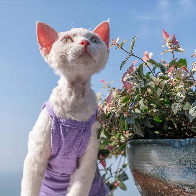 Hairless Cats Solid Cotton Camisole, Breathable Summer Tank Tops for Sphynx, Cornish Rex, Devon Rex, Peterbald, Cat Wear Hairless Cat Clothes Soft Skin-Friendly Cats Apparel Assorted Colors and Sizes