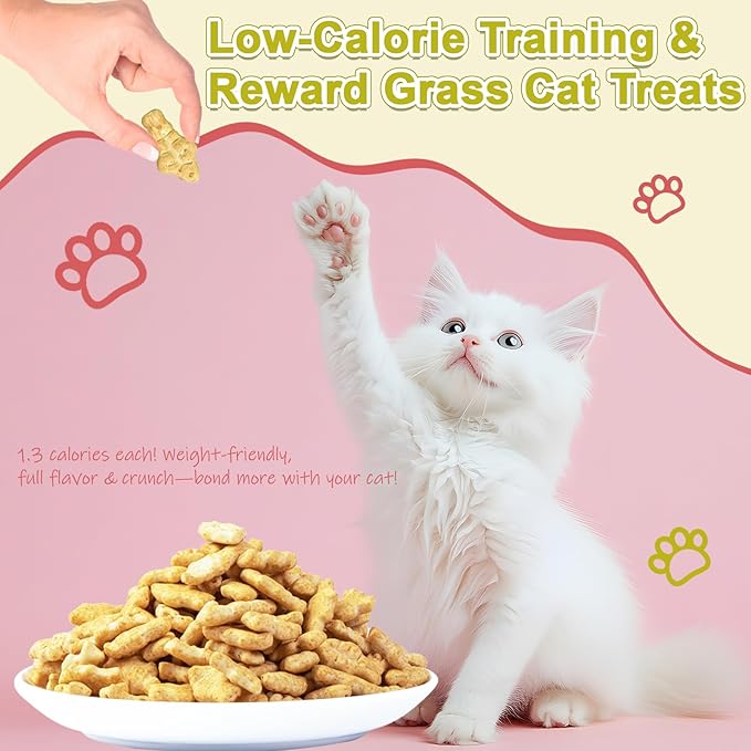 17.6 oz Cat Grass Treats for Indoor Cats - Hairball Control Natural Chicken & Catnip Flavor Healthy Kitten Snacks Crunchy Training Biscuits for Dental Cleaning