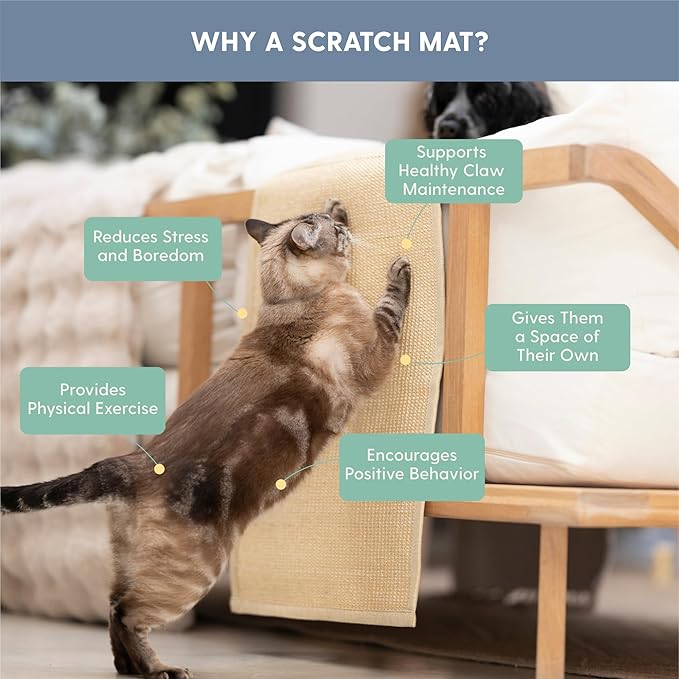 The Cat Ladies Cat Scratch Furniture Protector Mat - Couch Protector from Claws - Anti Scratch Furniture Protectors from Cats Scratching - Sisal Scratcher Pad - Beige