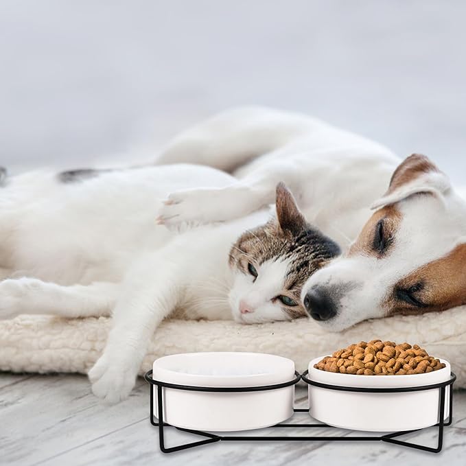 POPETPOP Ceramic Double Pet Bowl Set with Black Iron Elevated Stand, 13cm Raised Cat Feeder and Dog Food Bowl for Stable Feeding and Watering