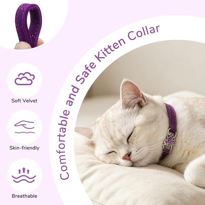 BINGPET Diamond Cat Collar,Adjustable Soft Velvet Leather Safe Kitten Collar with Crystal Heart Charm and Bells,Girl Boy Bling Stylish Cat Collars with Safety Elastic (Purple, Neck Girth 8"-10")